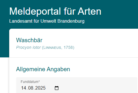 Meldeportal